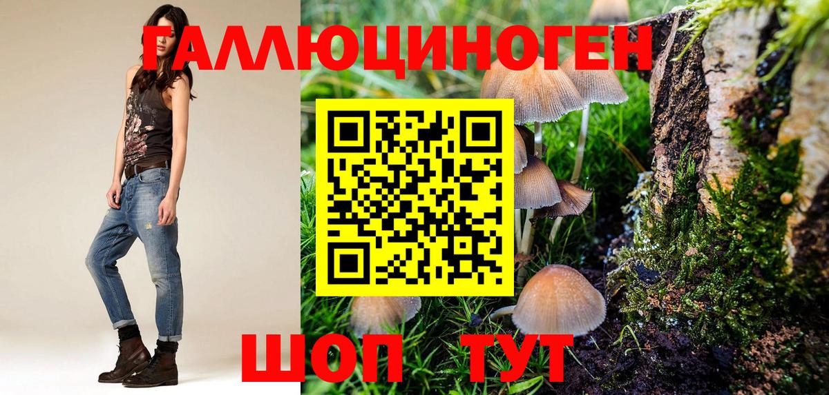Галлюциногенные грибы MAGIC MUSHROOMS Сланцы