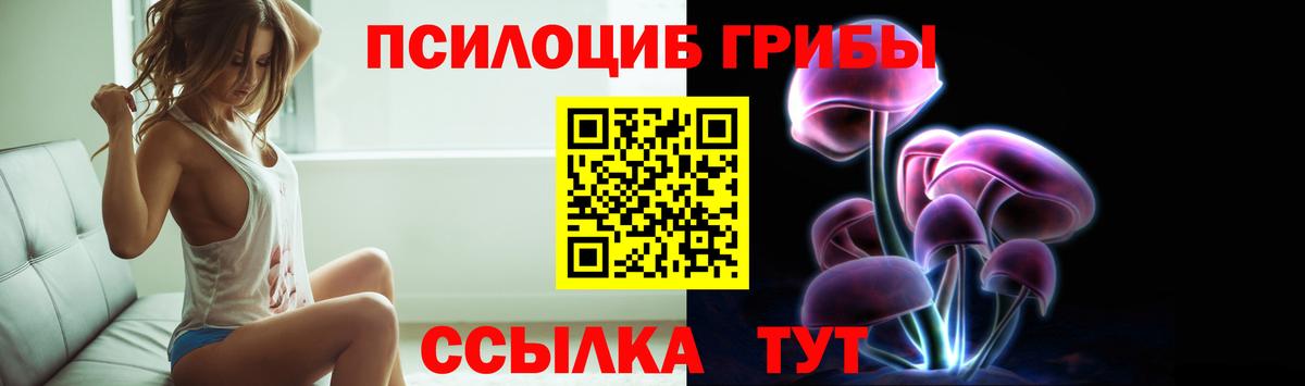 Сланцы  Псилоцибиновые грибы Magic Shrooms  Вход с VPN 